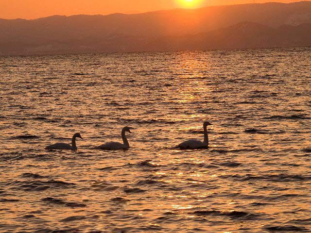 c0008502_15321887.jpg