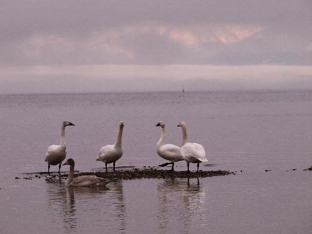 c0008502_16232056.jpg
