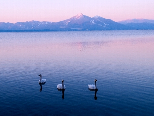 c0008502_18524439.jpg