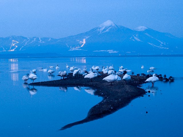 c0008502_18541165.jpg