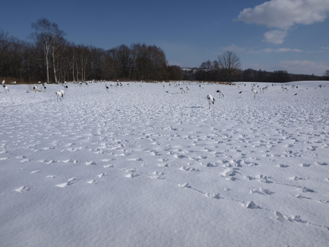 f0020302_20195045.jpg
