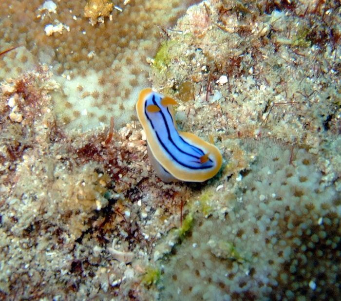 e0162304_2363799.jpg