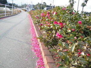 b0052108_12747.jpg