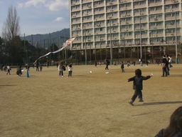 f0132619_16504755.jpg