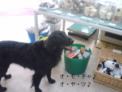 c0012120_23354573.jpg