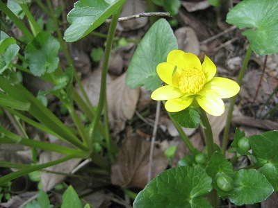 f0139520_18415716.jpg