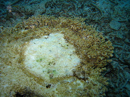 f0041021_2332343.jpg