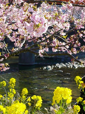 f0134229_035032.jpg