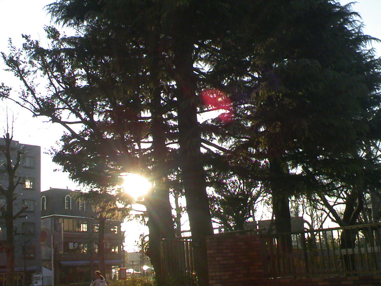 c0125637_8261186.jpg