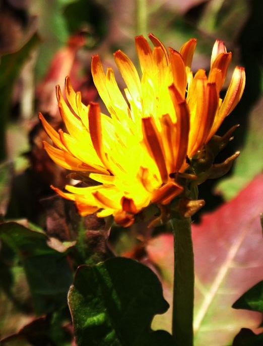 b0089338_0432415.jpg