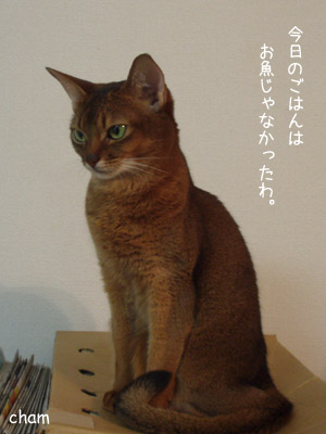 c0132438_2224577.jpg