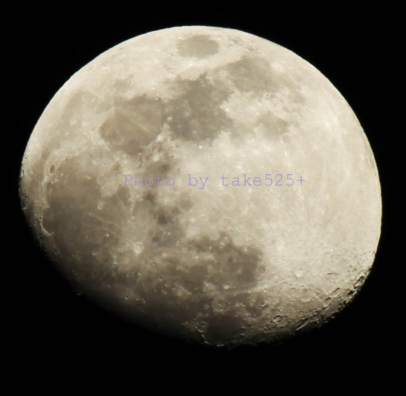 a0116946_22495017.jpg