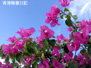 f0190653_1822586.jpg