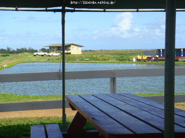 a0067962_7121469.jpg