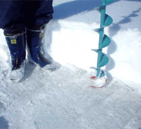 f0163063_16504940.gif