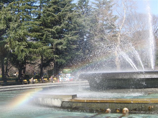 c0127366_20323270.jpg