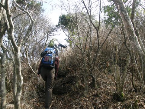 c0042869_2153370.jpg