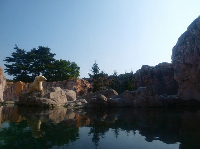 b0145677_20253726.jpg