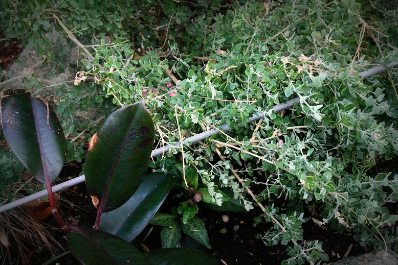 f0132986_22281657.jpg
