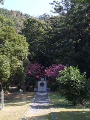 e0028387_2332209.jpg