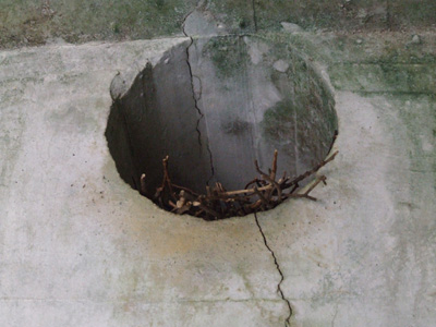 e0028387_23361659.jpg