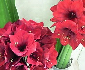 e0017290_728134.jpg