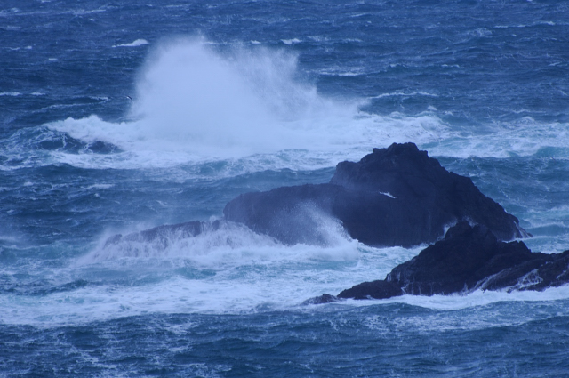 c0134295_23371125.jpg