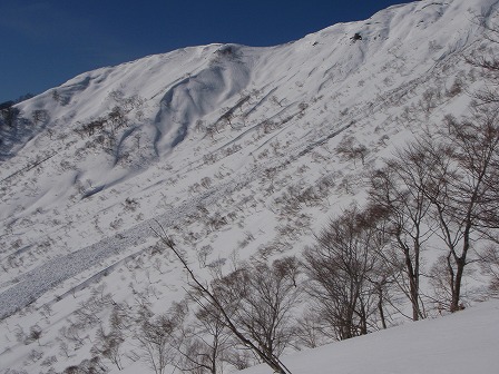 c0147398_2162179.jpg