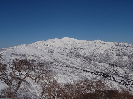 c0147398_2164842.jpg