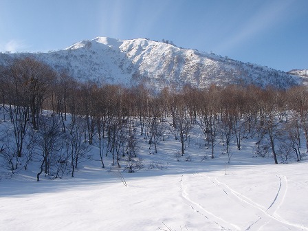 c0147398_2221022.jpg