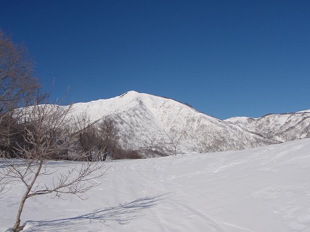 c0147398_285443.jpg
