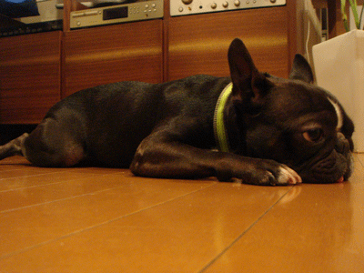 e0112098_13174548.gif