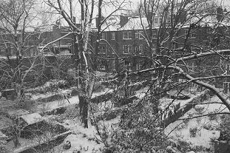 f0127098_2363834.jpg
