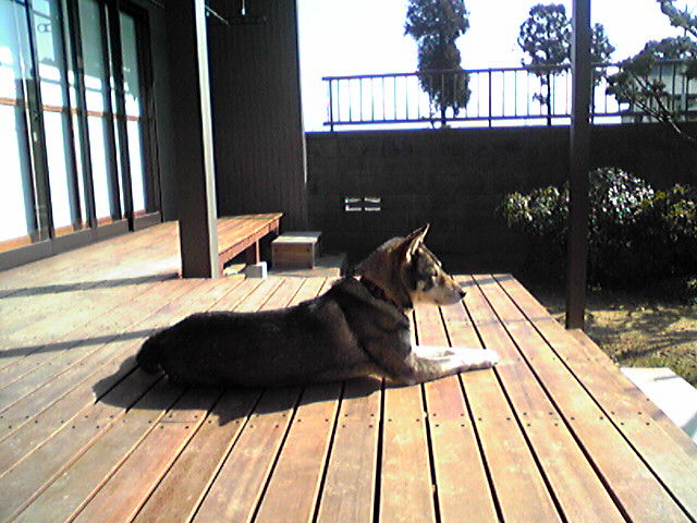f0079202_10512055.jpg