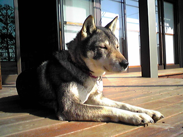 f0079202_10512067.jpg