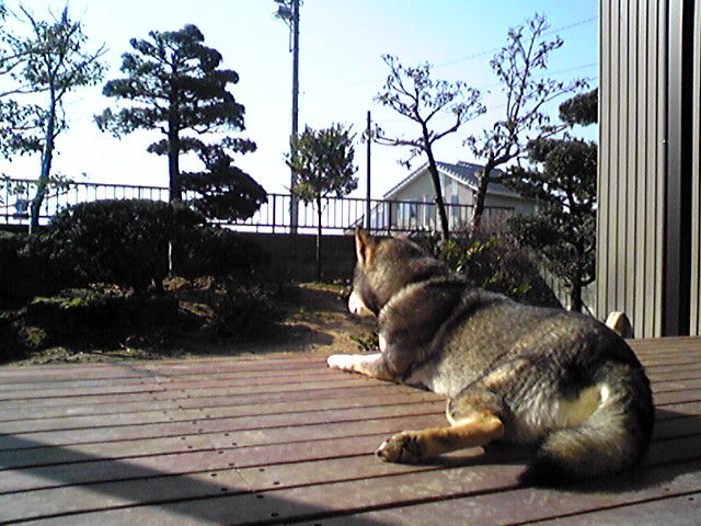 f0079202_10512195.jpg