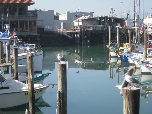 c0049105_13152697.jpg