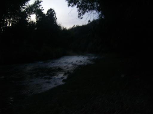 c0170905_11185233.jpg
