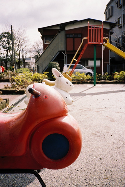 d0119505_1383556.jpg