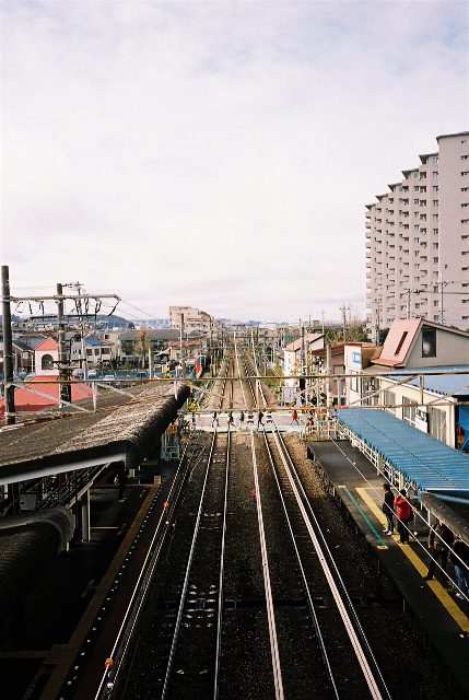 d0119505_1384533.jpg