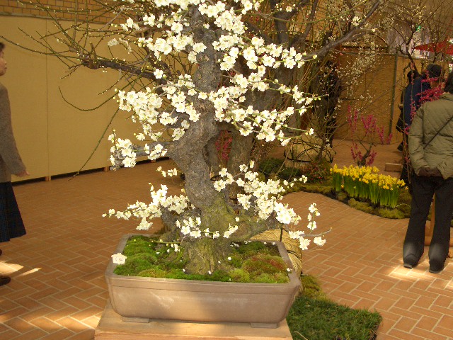 c0152507_1237125.jpg