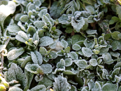 f0135908_685252.jpg