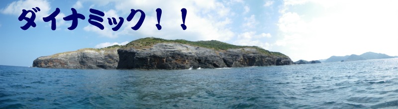 b0089616_20345682.jpg