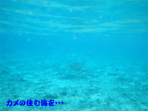 b0089616_20354067.jpg