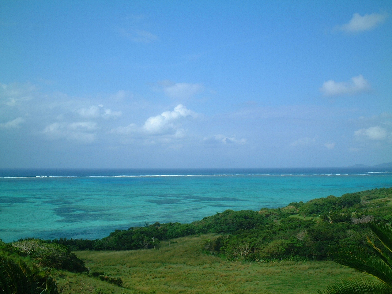 c0000816_17465769.jpg