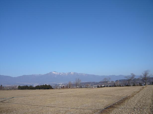 f0181018_1684632.jpg