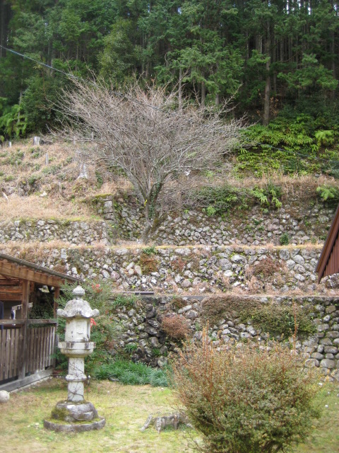 d0147727_1547492.jpg