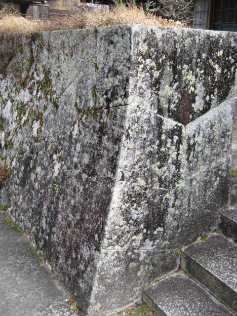 d0147727_15495068.jpg