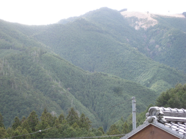 d0147727_15525653.jpg