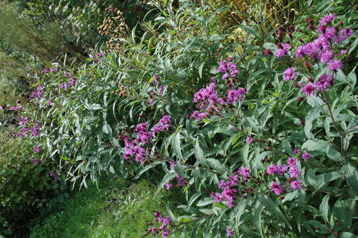 c0107129_14857.jpg